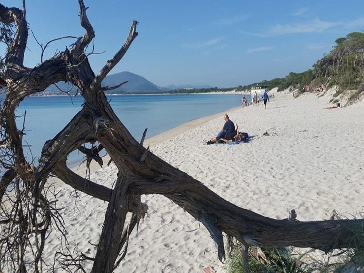 Alma Di Alghero Apartments Eksteriør bilde